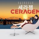 롯데하이마트 분당서현점 이미지