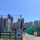 광안초등 | [부산] 2026 광안대교 국제걷기축제 참가방법, 참가비, 준비물, 꿀팁 내돈내산 다녀온 후기