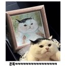 포이제 | 김고니 펌피럽