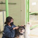 앵두네 - 강릉시 대송길 311-13 | 앵두네