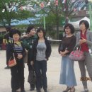 반곡초등학교 이미지