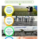 엔에스유 | 엔에스유 성인초유 맛후기_츄어블1500