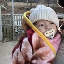 밍크목장 이미지