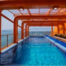 팬스타미라클 이미지