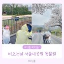 (주)이마트안동점 내 동물판매점 | 47개월 23개월 아이둘 육아일기: 비오는날 서울대공원 동물원 벚꽃 남미관 사자카페 홍학 수달/다둥이...