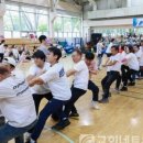 흰돌 체육관 이미지