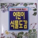 식물도감 이미지