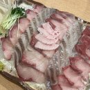 생명의 바다 1.2 이미지