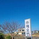 해오반 | 제주 가족여행 가성비 맛집추천 해오반, 성게알비빔밥 전복물회 내돈내산후기