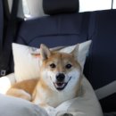 VILLA de LOUIS 이미지