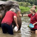 태국 치앙마이 여행 코스 가볼만한곳 코끼리보호캠프 카렌족 마을 이미지