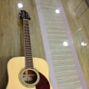 클래식 기타 초급반 이미지