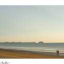 몽산포오토캠핑장 이미지