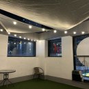 우동펫(우리동네 펫 서비스) 이미지