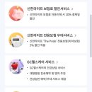 더프라이드약국 이미지