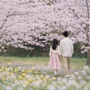 제주와봄 이미지