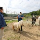 미래로목장 이미지