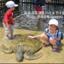 거북이투어
