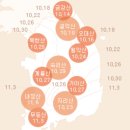 내장산 이미지