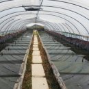 주봉농장 이미지