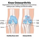 져스트 짐 이미지