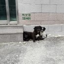 봉림마을회관 이미지