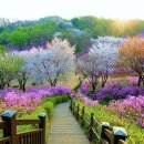 꽃동산