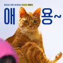 연화부녀 | [영화리뷰] 좀비딸 후기 | 웃음과 눈물이 공존하는 감동 좀비 가족 드라마