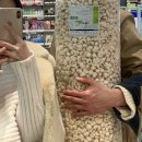 쭌 한우 목장 | 행벅 2월