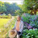 고흥-10호 이미지