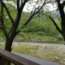 월드니스 이미지