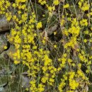 2019-주080 이미지