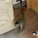 호텔 스미스 이미지