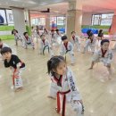 목동 경희대 태권도 교육관 이미지