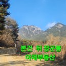 거창전원공인중개사사무소 | [거창군가조면전원주택부지매매]거창 토지 택지 임야 780평 매매