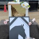 공주목장 이미지