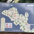 새천년오피스텔(천년사랑오피스텔) | 제주도 여행 추천 명소 비자림 관광지 참고사항 및 운영시간, 입장료 정보 후기