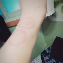 서남한의원 이미지