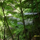 한우막사 이미지