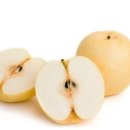 ATOZ피티샵 이미지