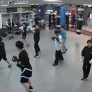 레드윙 복싱 이미지