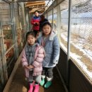 효재농장 이미지