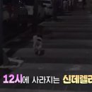 코리농장 이미지