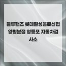블루핸즈 롯데칠성음료신협양평분점 영등포 자동차검사소