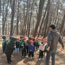 트리아이 밧줄체험 이미지
