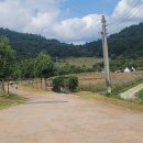 운곡생태습지길 4코스 이미지