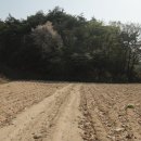 전재원공인중개사사무소 이미지