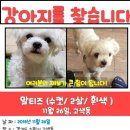 강쥐엄마네 이미지
