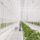 제강농장 이미지