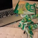 초심민박 이미지